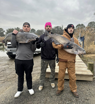 Catch the biggest Catfish on James River!